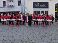 171114 proklamation 1876