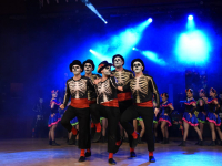 180204 stadt-landball2018-222