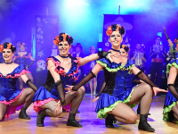 180204 stadt-landball2018-228