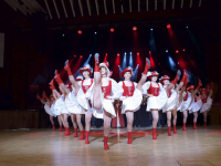 190204 stadt-landball 8855