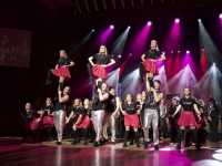 190204 stadt-landball 9558