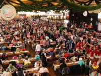 190211 kinderball2019 297